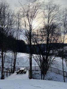 Valley House Cabana cu priveliste de vis