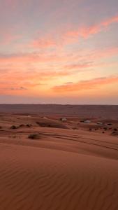 Desert waves camp