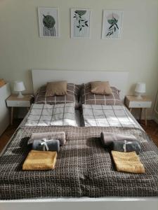 Mars Apartman Szeged