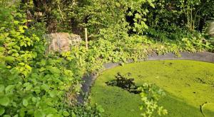 Ferienhaus nahe Ostsee in der Geltinger Birk