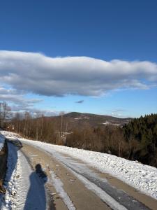 Dom w górach Zacisze lasu