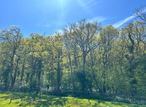 The Studio at Bluebell Barn