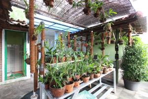 OYO 95108 Nareswari Homestay Syariah