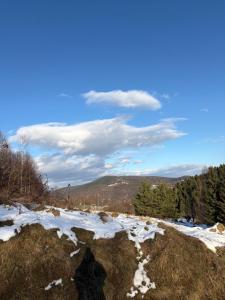 Dom w górach Zacisze lasu