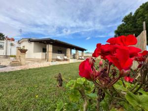 laira ecchia - ospitalità rurale