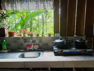 Cabaña lago Río Celeste