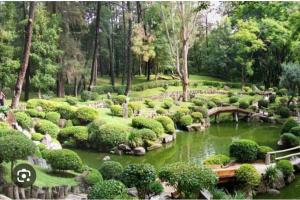 Casa Colomos, a residential area with a garden