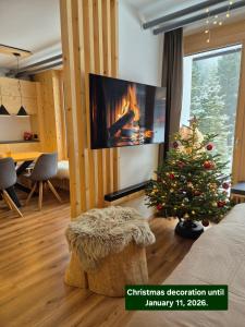 New cosy apartment in nature - Krvavec