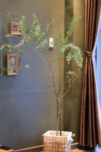 T3 Airport Homestay by Nguyen