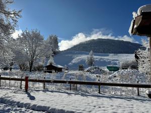 Berg Fux - Fewo mit 2 Schlafzimmern, Bergblick, Balkon, zentral aber ruhig