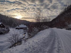 Nad Mikowym Potokiem - wydzielona część drewnianego domu z osobnym wejściem i ogrodem