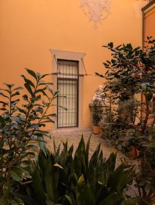 Bolove51, un loft silenzioso nel cuore della città