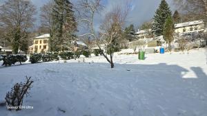 le refuge des sapins