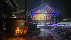 Casuta Adelina Borsa