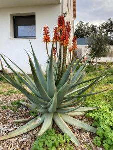 VILLA VUE MER sur la presquile de GIENS