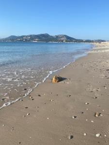 VILLA VUE MER sur la presquile de GIENS