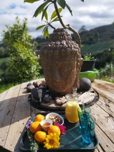 Nature Sanctuary, a semi-detached house on an ecological & sustainable farm