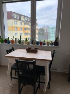 Zelený byt u Bořího lesa