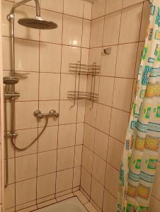 Apartament między Strumykami
