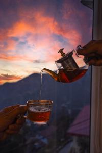 Dorchester Woods Sylverton