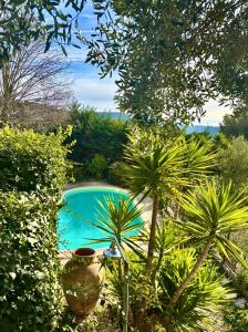 THE GREEN OASIS breathtaking sea views, swimming pool, privacy in Villa Liliana