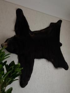 Old-School Hunting Apartment