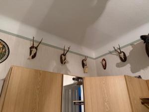 Old-School Hunting Apartment