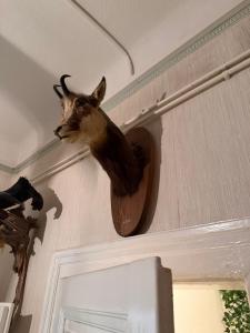 Old-School Hunting Apartment