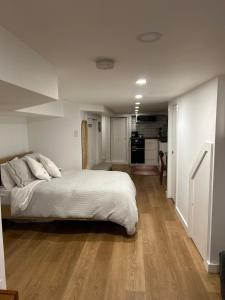 Lower level newly renovated studio apartment in central downtown location