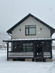 gray house kryvorivnya