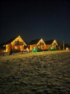 Leśna Przystań - Domki całoroczne