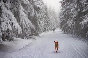 Amenity Hotel & Resort Orlické hory