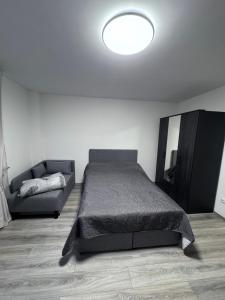 Brand-New Renovated Studio Apartment