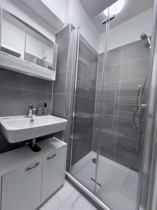 Brand-New Renovated Studio Apartment