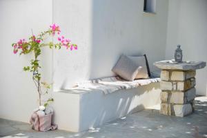 Flora & Agelos Studios Paros Greece