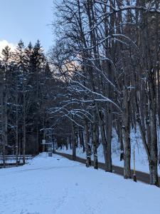 Apartmán v Korytnici