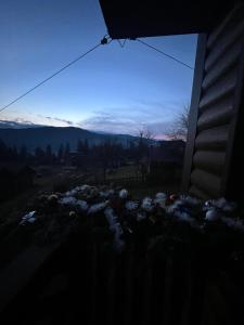 Сімейний котедж КРАЄВИД чан джакузі сауна