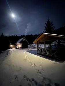 Будинок на горі Борщевиця