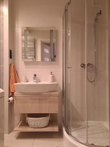 Silver Apartament Kowary