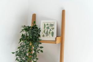 LHorizon St Roch, vue sur centre-ville et garage