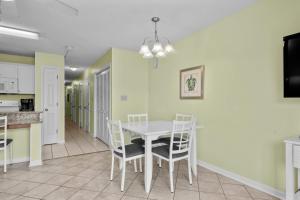 204 C1 GP-Aqua Sunrise