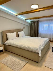 Parc Vatra Dornei - The 7th Haven