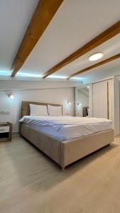 Parc Vatra Dornei - The 7th Haven