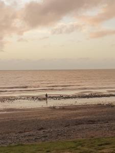 Premium 3 Bedroom Static Caravan with Sea Views Aber Bay