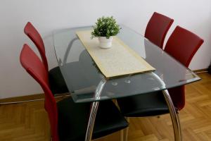 Modern 2-room Oasis in Old-town Belgrade