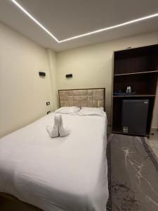 Middle East pyramids veiw &spa