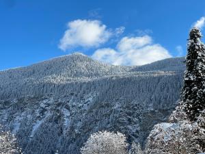 Mazot Agora & Spa Family Trip - Chalet Ouest R+1