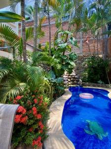 Concha - Casa MoJos cozy 1BR, garden, pool