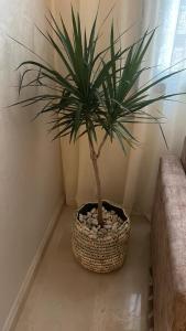 Beautiful Apartment in Guéliz Pools & Jacuzzi