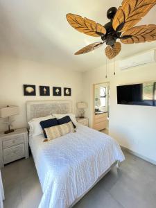 Casa Del Agua 2-bed 2-bath ocean view